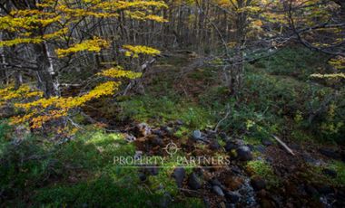 Patagonia, 2.800ha Excepcional Estancia Lago Bravo