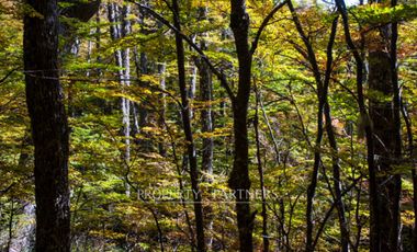 Patagonia, 2.800ha Excepcional Estancia Lago Bravo