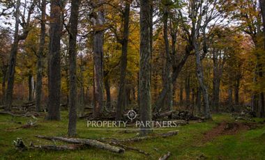 Patagonia, 2.800ha Excepcional Estancia Lago Bravo