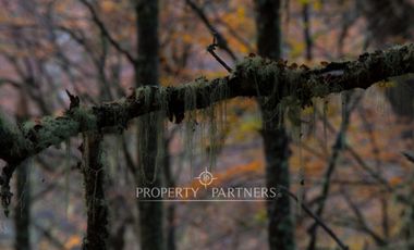 Patagonia, 2.800ha Excepcional Estancia Lago Bravo