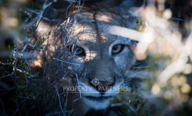 Patagonia, 2.800ha Excepcional Estancia Lago Bravo