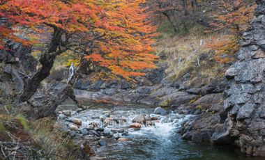 Patagonia, 2.800ha Excepcional Estancia Lago Bravo
