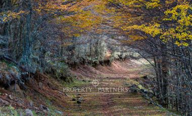 Patagonia, 2.800ha Excepcional Estancia Lago Bravo