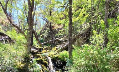 Patagonia, 40ha orilla rio Baker