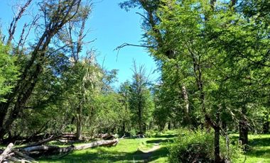 Patagonia, 40ha orilla rio Baker