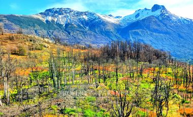 Patagonia, 40ha orilla rio Baker