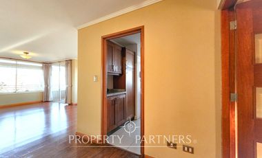 Gran Departamento Sector Avenida Alemania