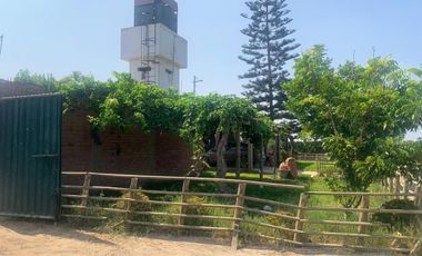 VENDO TERRENO AGRICOLA EN QUILMANA - CAÑETE