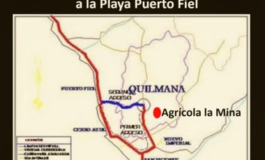 VENDO TERRENO AGRICOLA EN QUILMANA - CAÑETE