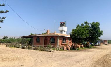 VENDO TERRENO AGRICOLA EN QUILMANA - CAÑETE