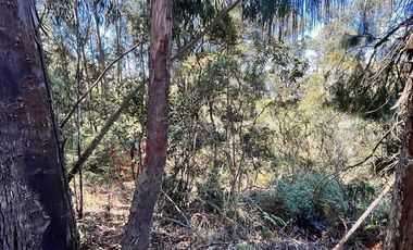 Venta de lote en vereda Yerbabuena, Portal de Fusca, Chía Cundinamarca