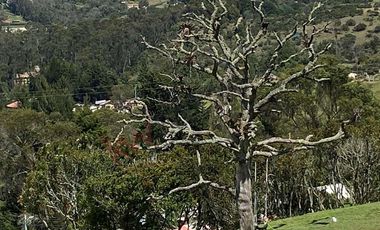 Vendo Casa Campestre en Lote de 10.000 m2 en la Calera Vereda El Hato-9236