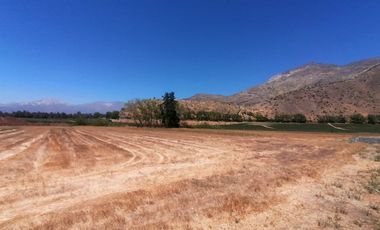 LOTEO HARAS DE PIRQUE