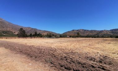 LOTEO HARAS DE PIRQUE