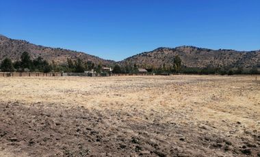 LOTEO HARAS DE PIRQUE