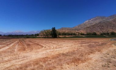 LOTEO HARAS DE PIRQUE