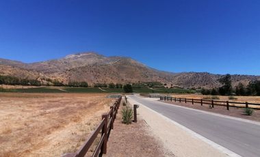 LOTEO HARAS DE PIRQUE