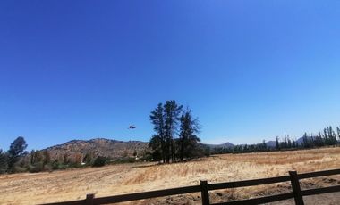 LOTEO HARAS DE PIRQUE