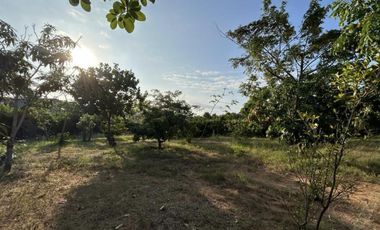VENTA FINCA EN GENERAL VILLAMIL PLAYAS 5.000M2 (JLR)