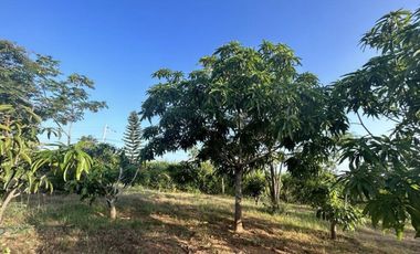 VENTA FINCA EN GENERAL VILLAMIL PLAYAS 5.000M2 (JLR)