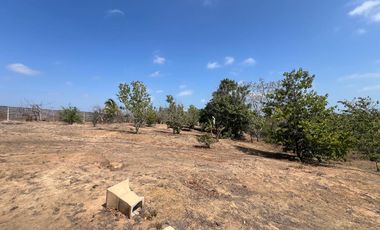 VENTA FINCA EN GENERAL VILLAMIL PLAYAS 5.000M2 (JLR)
