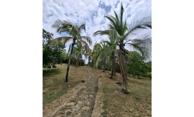 En Venta Finca 13.000 m2, Casa 260 m2 con Piscina Privada, San Joaquin
