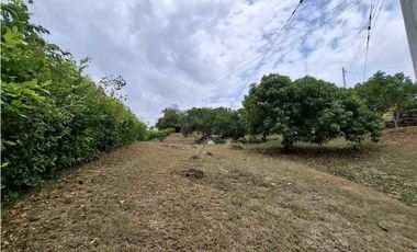 En Venta Finca 13.000 m2, Casa 260 m2 con Piscina Privada, San Joaquin
