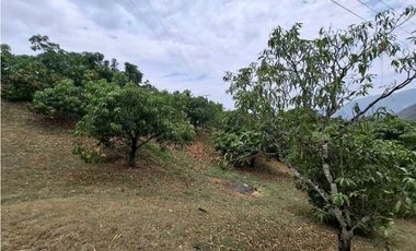 En Venta Finca 13.000 m2, Casa 260 m2 con Piscina Privada, San Joaquin