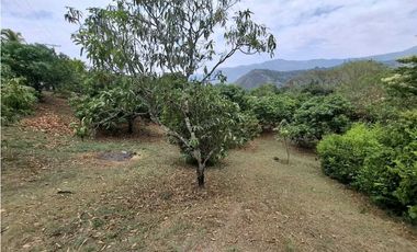 En Venta Finca 13.000 m2, Casa 260 m2 con Piscina Privada, San Joaquin