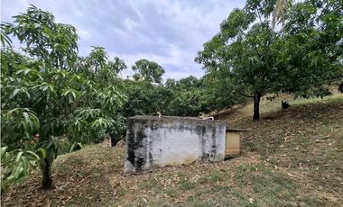 En Venta Finca 13.000 m2, Casa 260 m2 con Piscina Privada, San Joaquin