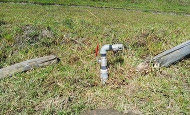 Terreno en  VENTA SECTOR AYORA CAYAMBE