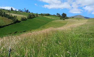 Terreno en  VENTA SECTOR AYORA CAYAMBE
