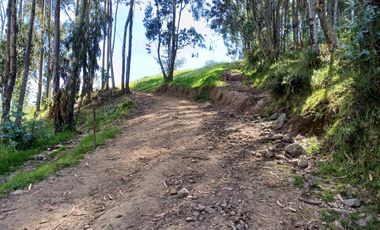 Terreno en  VENTA SECTOR AYORA CAYAMBE