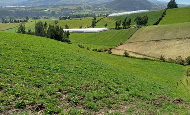 Terreno en  VENTA SECTOR AYORA CAYAMBE