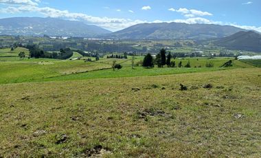 Terreno en  VENTA SECTOR AYORA CAYAMBE