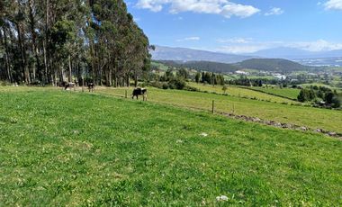 Terreno en  VENTA SECTOR AYORA CAYAMBE
