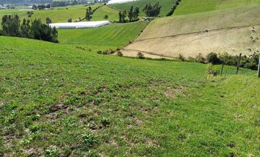 Terreno en  VENTA SECTOR AYORA CAYAMBE
