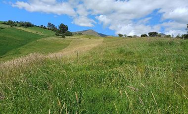 Terreno en  VENTA SECTOR AYORA CAYAMBE