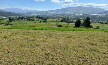 Terreno en  VENTA SECTOR AYORA CAYAMBE