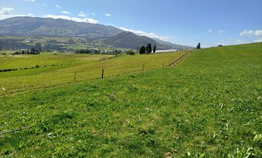Terreno en  VENTA SECTOR AYORA CAYAMBE