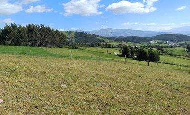 Terreno en  VENTA SECTOR AYORA CAYAMBE