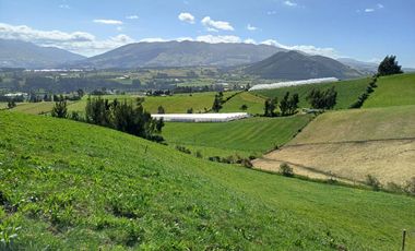 Terreno en  VENTA SECTOR AYORA CAYAMBE