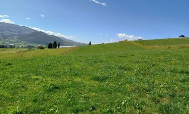 Terreno en  VENTA SECTOR AYORA CAYAMBE