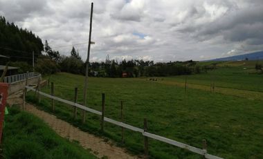 HERMOSA PROPIEDAD DE 5 HECTARES PLANAS SECTOR PAQUIESTANCIA