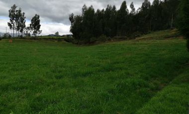 HERMOSA PROPIEDAD DE 5 HECTARES PLANAS SECTOR PAQUIESTANCIA