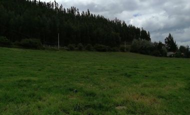 HERMOSA PROPIEDAD DE 5 HECTARES PLANAS SECTOR PAQUIESTANCIA