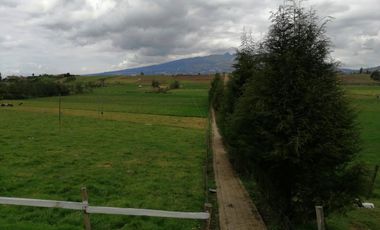 HERMOSA PROPIEDAD DE 5 HECTARES PLANAS SECTOR PAQUIESTANCIA