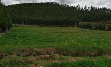 HERMOSA PROPIEDAD DE 5 HECTARES PLANAS SECTOR PAQUIESTANCIA
