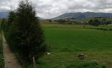 HERMOSA PROPIEDAD DE 5 HECTARES PLANAS SECTOR PAQUIESTANCIA
