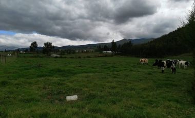 HERMOSA PROPIEDAD DE 5 HECTARES PLANAS SECTOR PAQUIESTANCIA